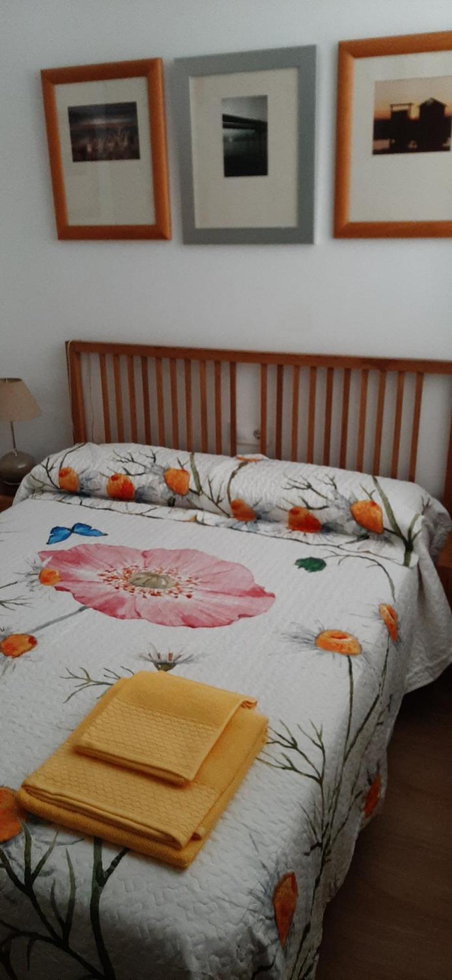 Apto Patio Andaluz. Maximo Confort Y Limpieza Cadiz Dış mekan fotoğraf
